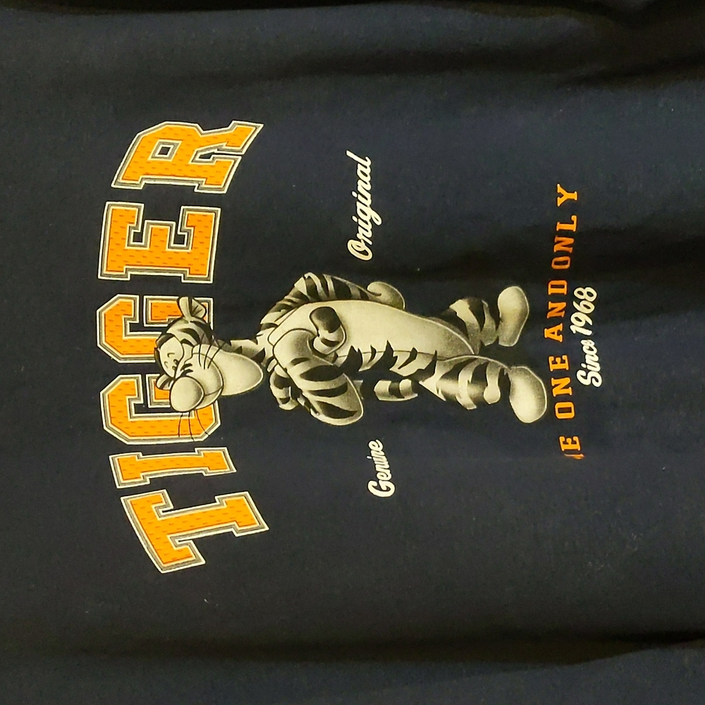 Disney Store Tigger Sweater - Blue - XXL